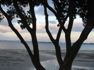  Taken at Howick Beach.